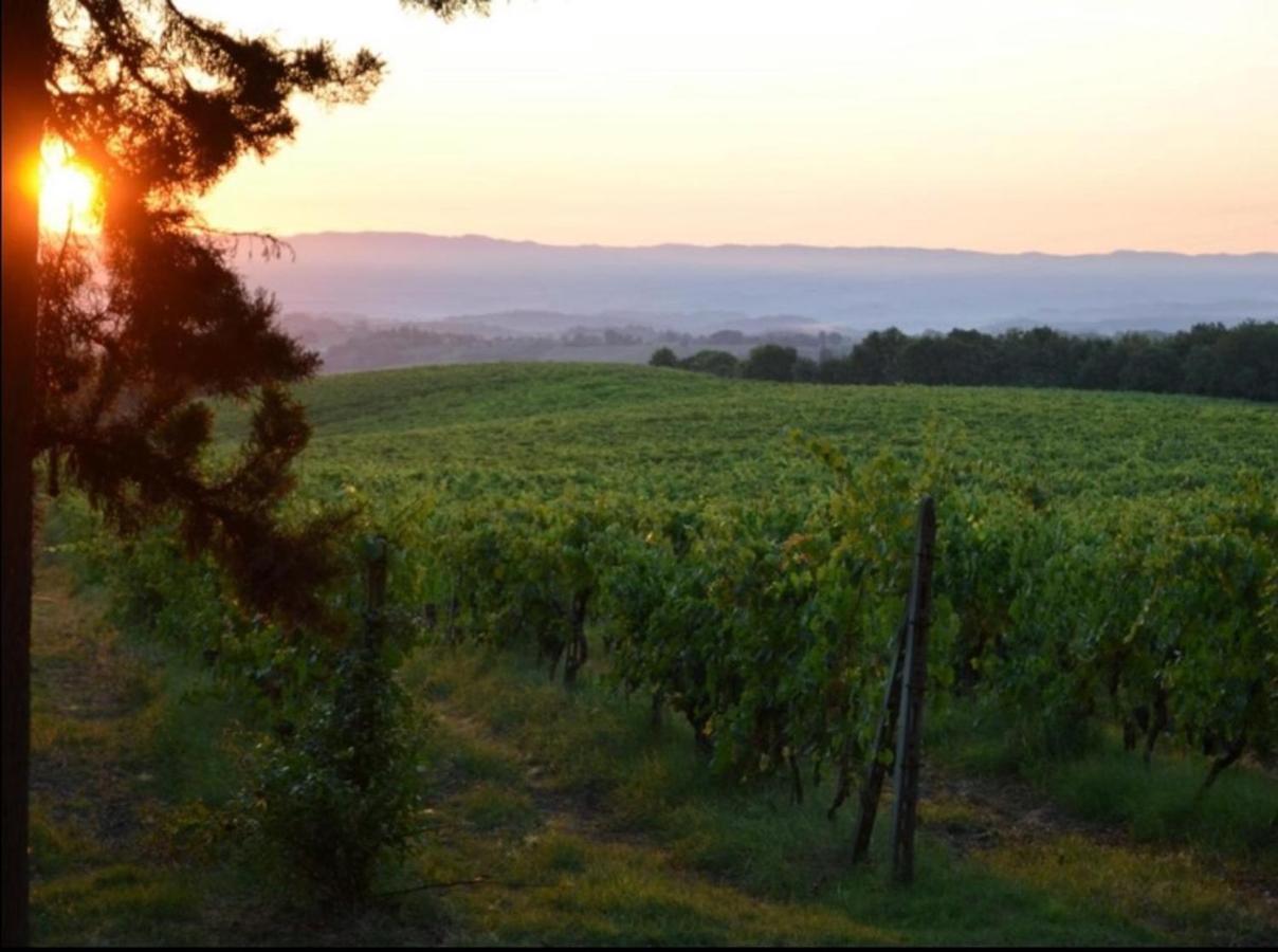 Agriturismo Fattoria Il Piano - Appartamento Lavanda - San Gimignano Zewnętrze zdjęcie